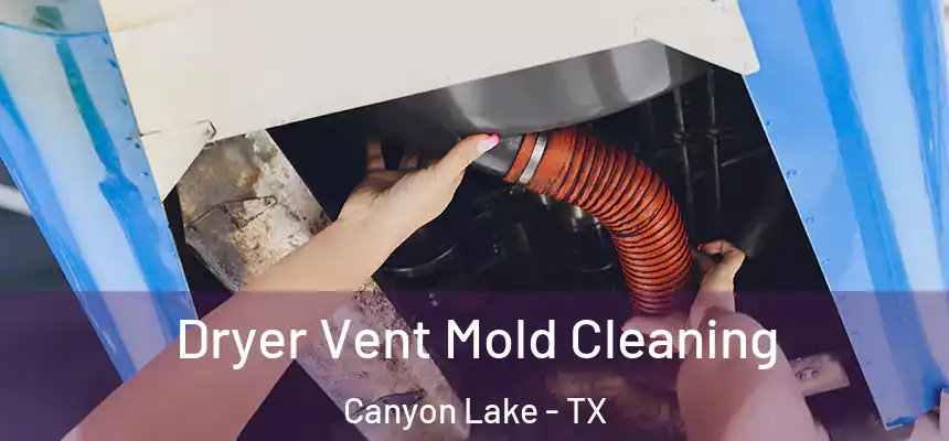 Dryer Vent Mold Cleaning Canyon Lake - TX