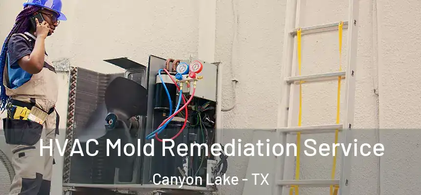 HVAC Mold Remediation Service Canyon Lake - TX