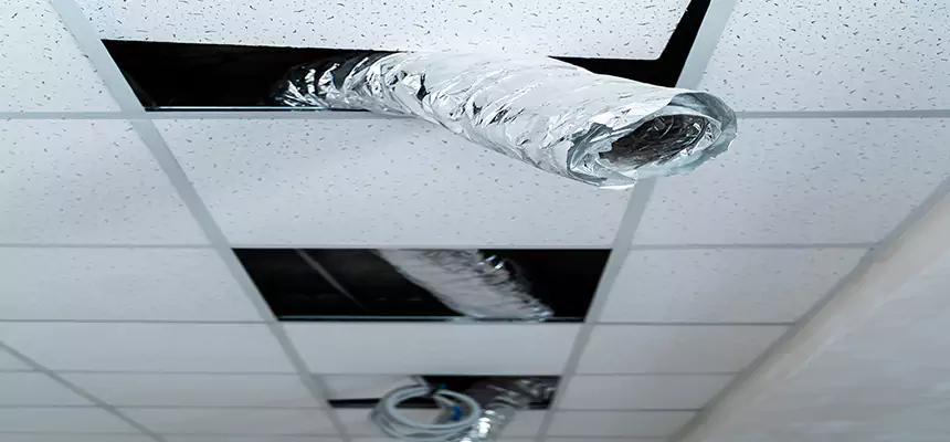 Our Air Duct Pet Hair Removal Services in Canyon Lake, TX