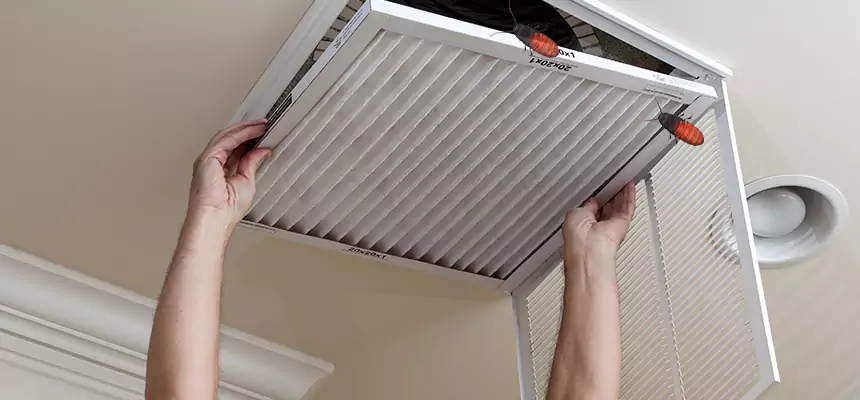 Our Insect Removal from Air Ducts Services in Canyon Lake, TX
