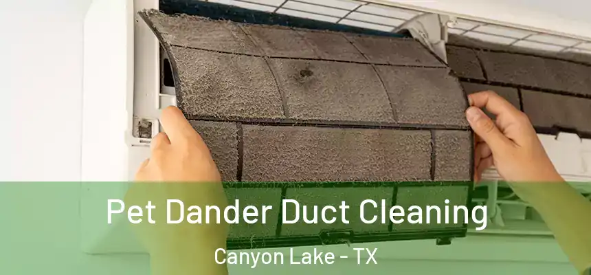  Pet Dander Duct Cleaning Canyon Lake - TX