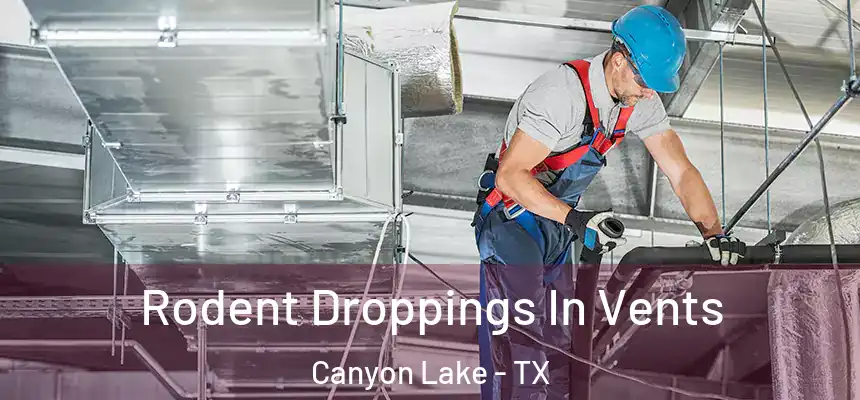  Rodent Droppings In Vents Canyon Lake - TX