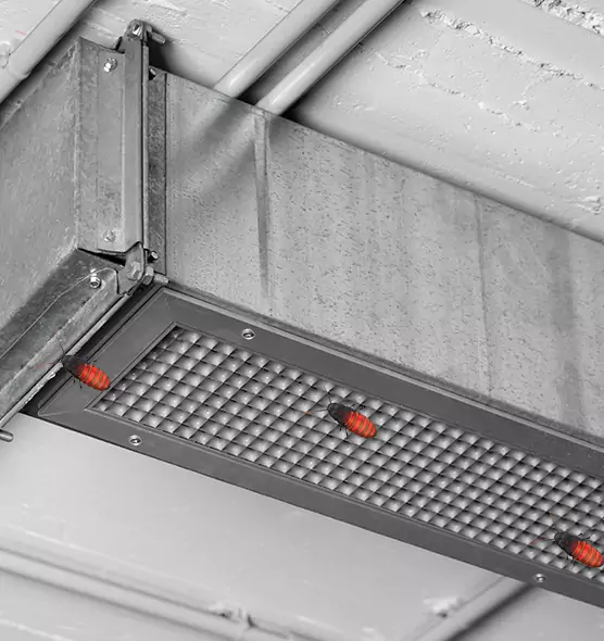 About Air Duct Cockroach Removal in Canyon Lake, TX