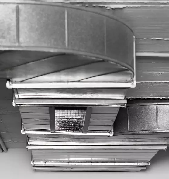 Professional Air Duct Pet Hair Removal in Canyon Lake, TX