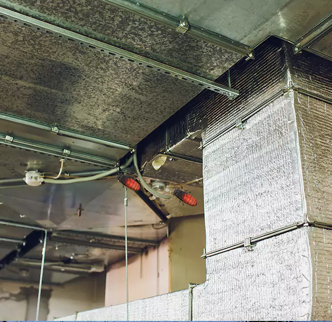 Why Homeowners & Businesses Trust Us in Canyon Lake, TX?