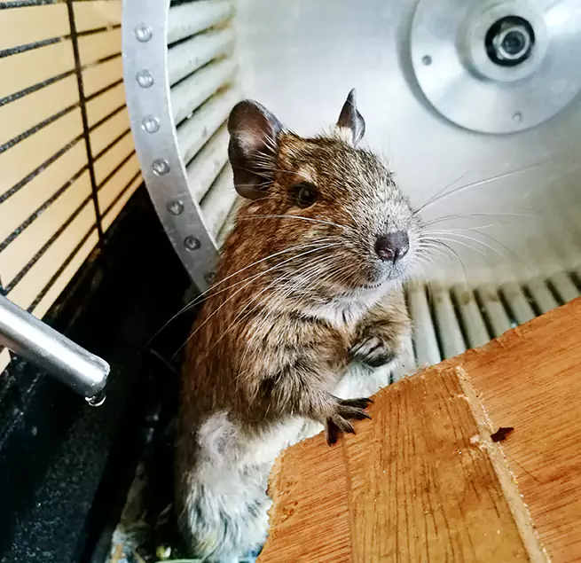 Why Homeowners & Businesses Trust Us Canyon Lake, TX